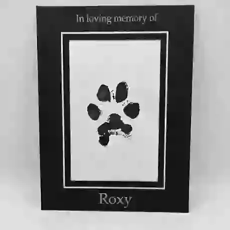 Ink Paw Print